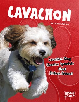 Cover image for Cavachon