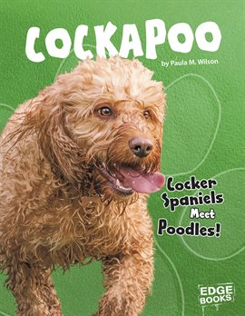 Cover image for Cockapoo