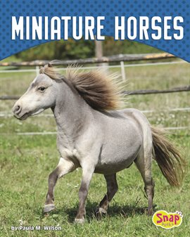 Cover image for Miniature Horses