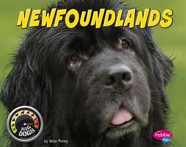 Imagen de portada para Newfoundlands