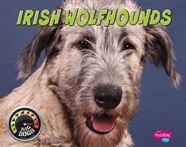 Cover image for Irish Wolfhounds