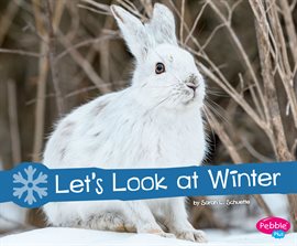 Cover image for Let's Look at Winter