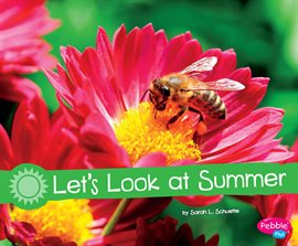 Cover image for Let's Look at Summer