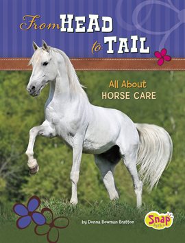 Cover image for From Head to Tail