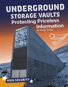 Cover image for Underground Storage Vaults