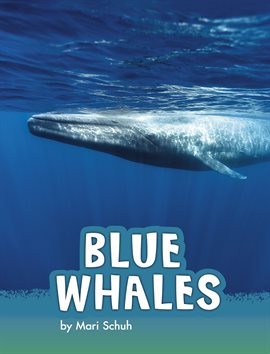 Cover image for Blue Whales
