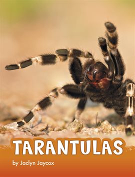 Cover image for Tarantulas