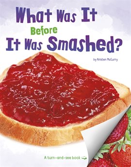 Cover image for What Was It Before It Was Smashed?