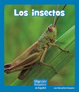 Cover image for Los insectos