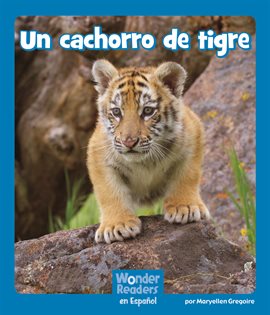 Cover image for Un cachorro de tigre