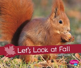 Cover image for Let's Look at Fall