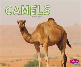 Cover image for Camels