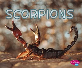 Cover image for Scorpions