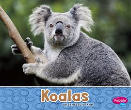 Cover image for Koalas