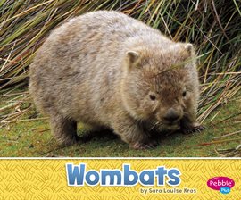 Cover image for Wombats