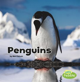 Cover image for Penguins