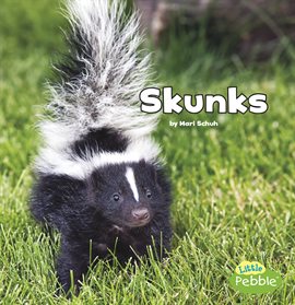 Cover image for Skunks