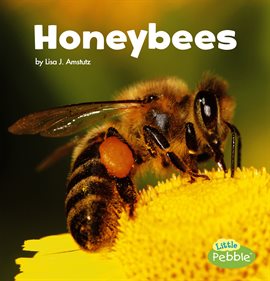 Cover image for Honeybees