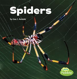 Cover image for Spiders