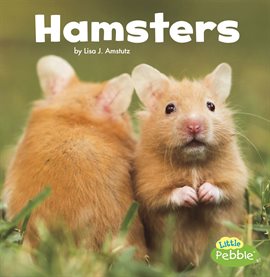Imagen de portada para Hamsters
