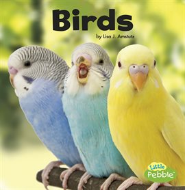 Imagen de portada para Birds
