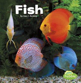 Cover image for Fish