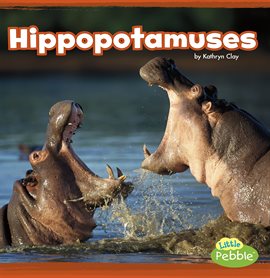 Cover image for Hippopotamuses