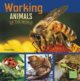 Cover image for Working Animals of the World
