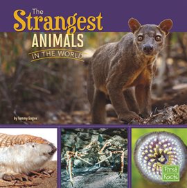 Cover image for The Strangest Animals in the World