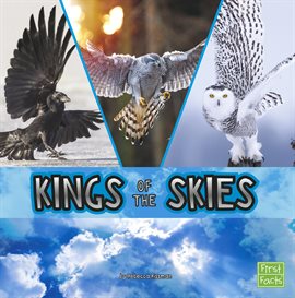 Cover image for Kings of the Skies
