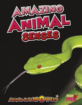 Cover image for Amazing Animal Senses