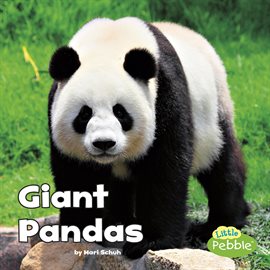 Cover image for Giant Pandas