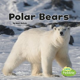 Cover image for Polar Bears