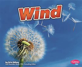Imagen de portada para Wind