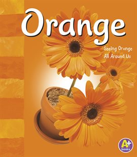 Imagen de portada para Orange