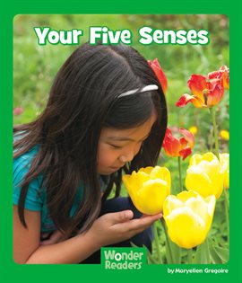 Imagen de portada para Your Five Senses