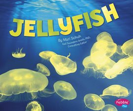 Cover image for Jellyfish