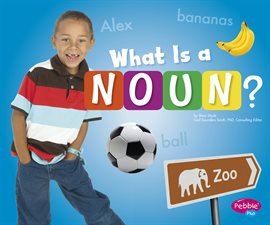 Imagen de portada para What Is a Noun?