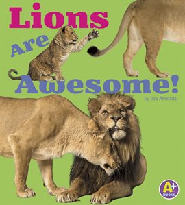 Cover image for Lions Are Awesome!