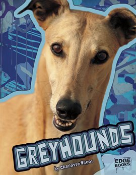 Cover image for Greyhounds