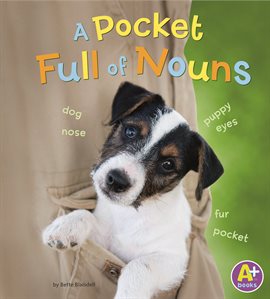 Cover image for A Pocket Full of Nouns