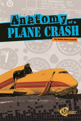 Cover image for Anatomy of a Plane Crash