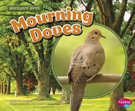 Cover image for Mourning Doves