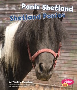 Cover image for Ponis Shetland/Shetland Ponies