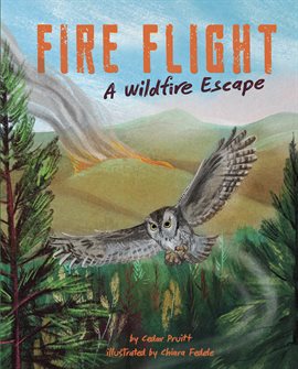 Cover image for Fire Flight