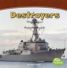 Cover image for Destroyers