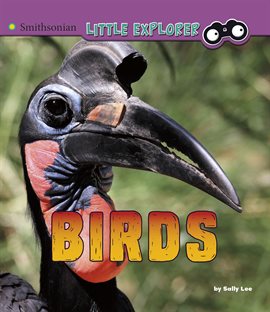 Cover image for Birds