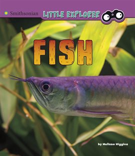 Cover image for Fish