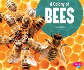 Cover image for A Colony of Bees