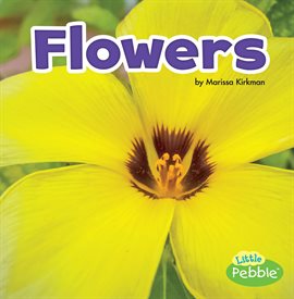 Cover image for Flowers